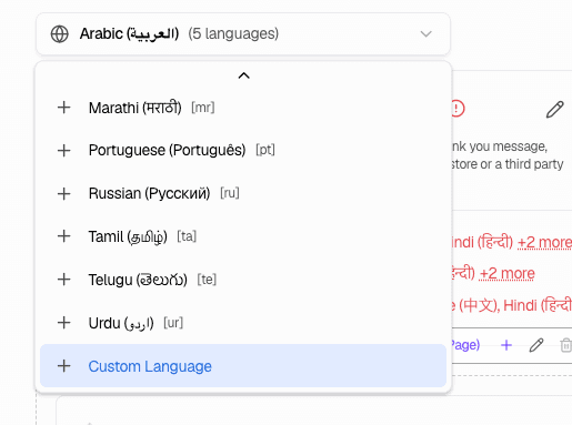 Custom Language option in language dropdown